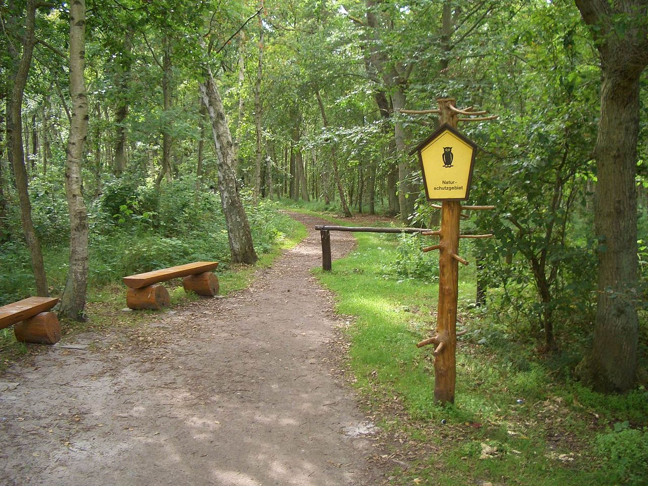 Bild Infozentrum Wald und Moor Neuheide