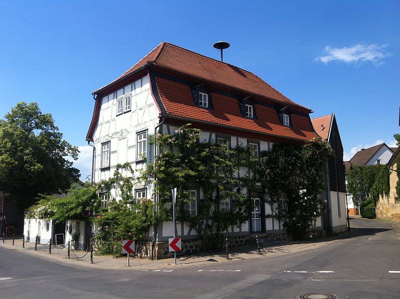 Bild Rosenmuseum Bad Nauheim Steinfurth