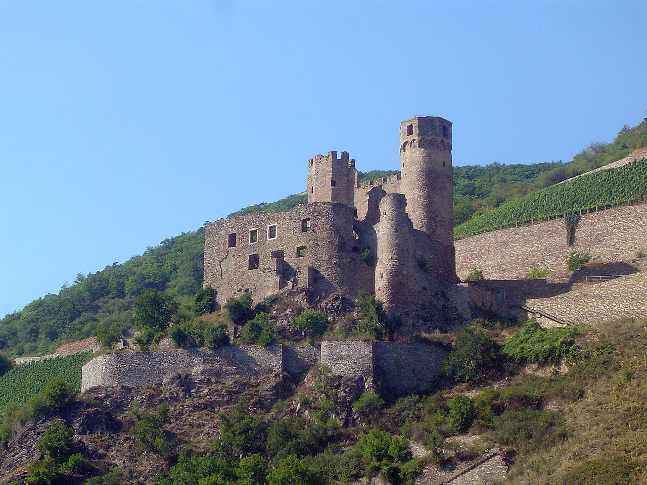 Bild Burg Ehrenfels Rüdesheim