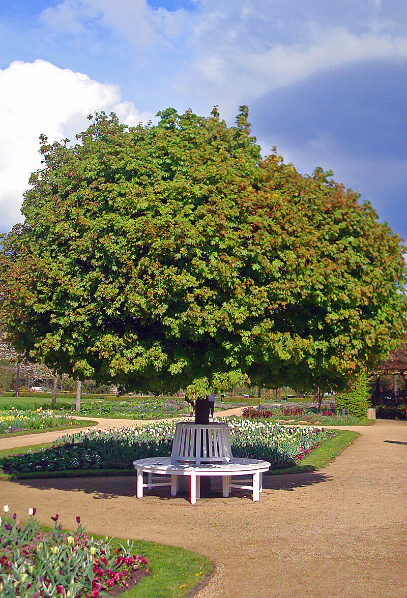 Bild Botanischer Garten Gütersloh