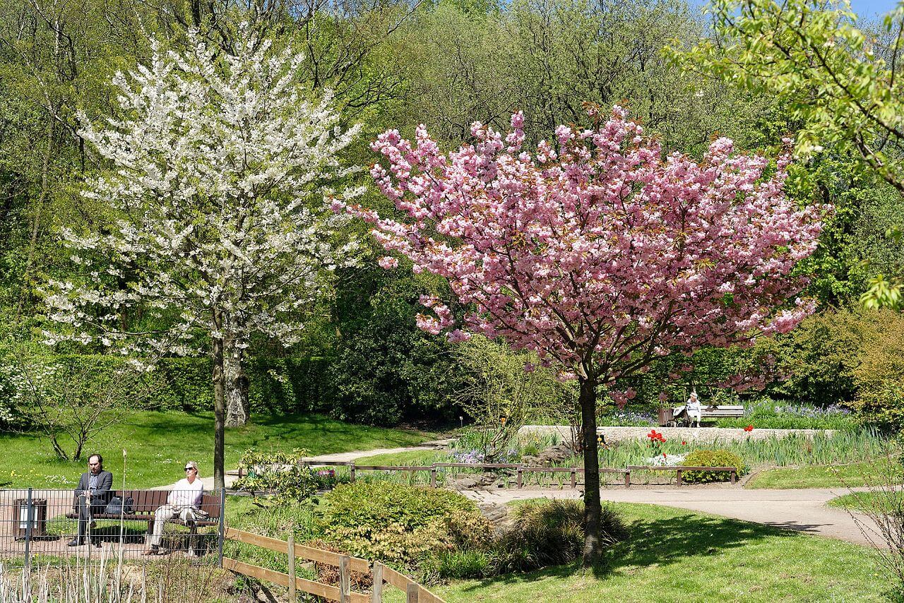 Bild Botanischer Garten Solingen