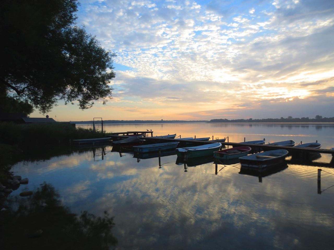 Bild Kraniche am Schaalsee