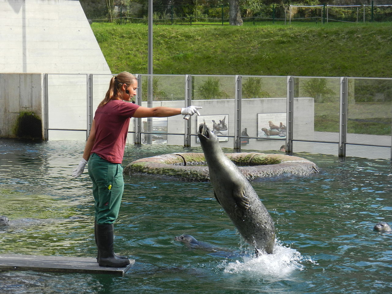 Bild Saarbrücker Zoo