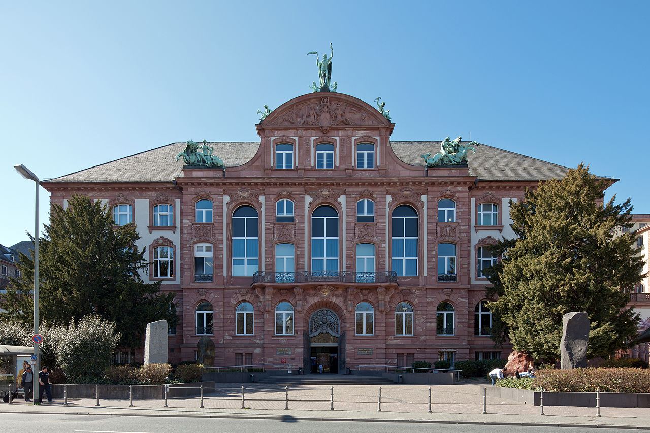 Bild Senckenberg Naturmuseum Frankfurt am Main