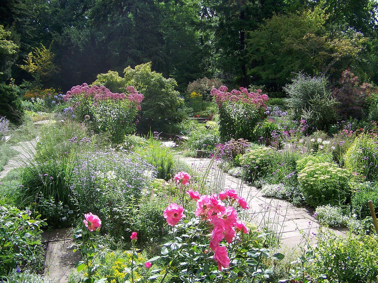 Bild Karl Foerster Garten Bornim