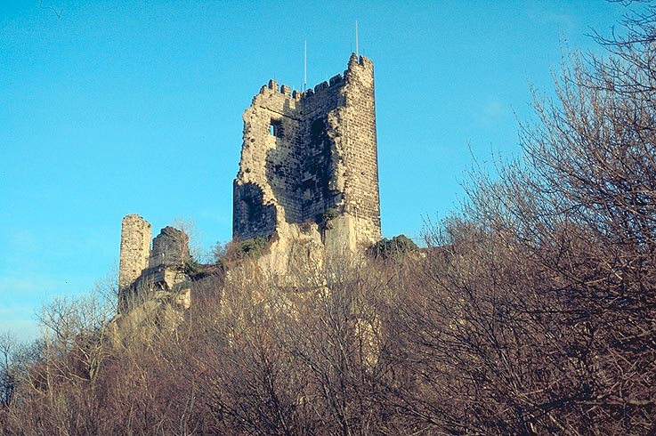 Bild Burgruine Drachenfels Königswinter