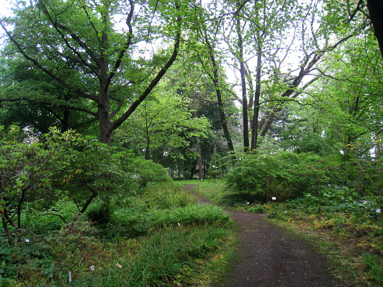 Bild Späth Arboretum der Humboldt Universität zu Berlin