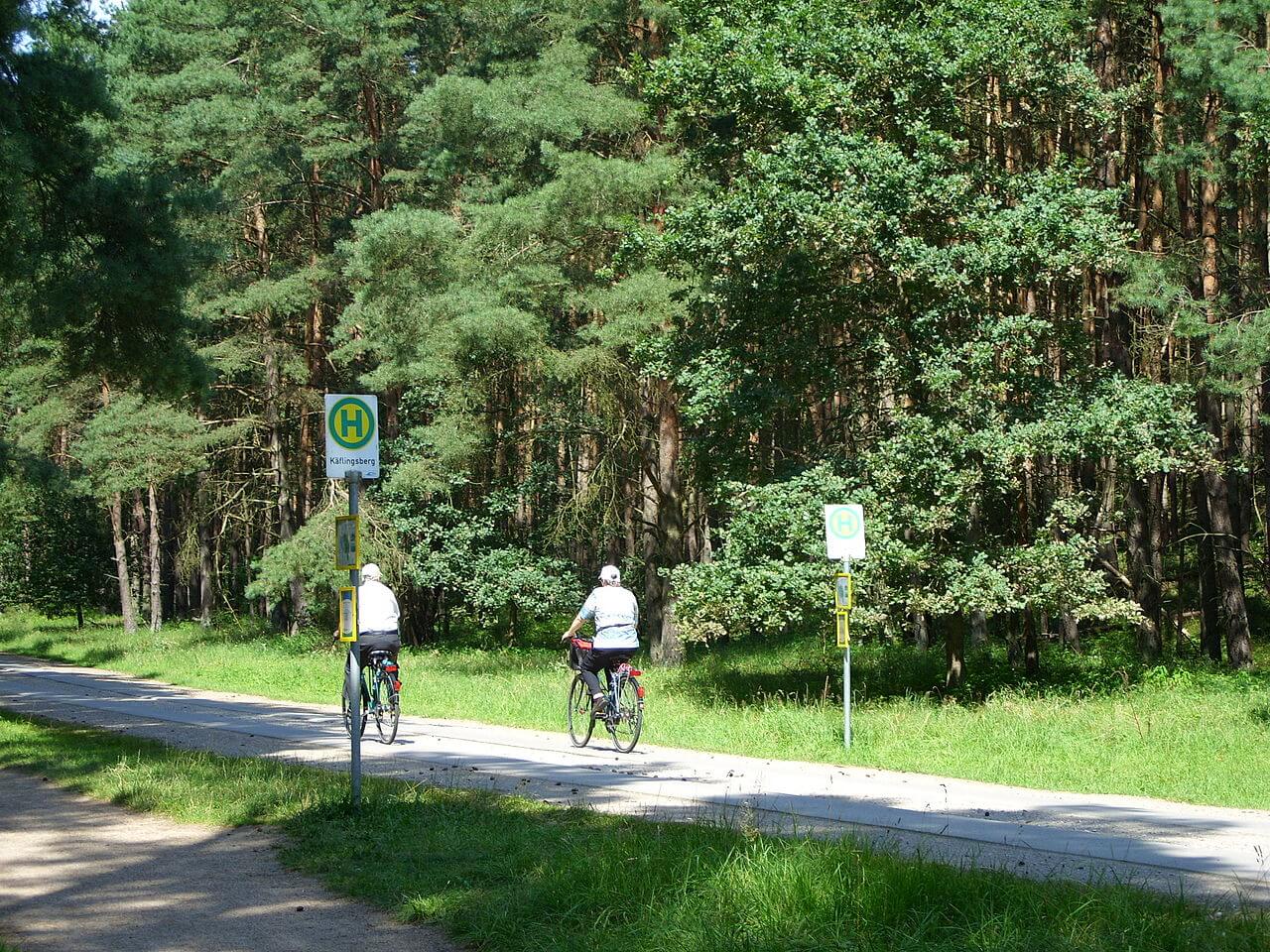 Bild Müritz Nationalpark