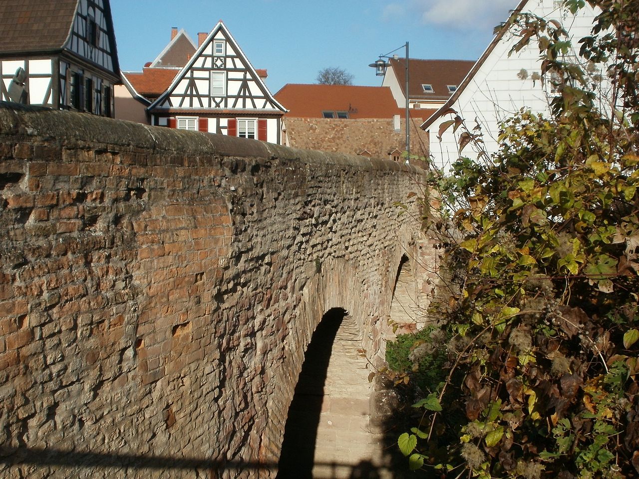 Bild Sonnenbrücke Speyer