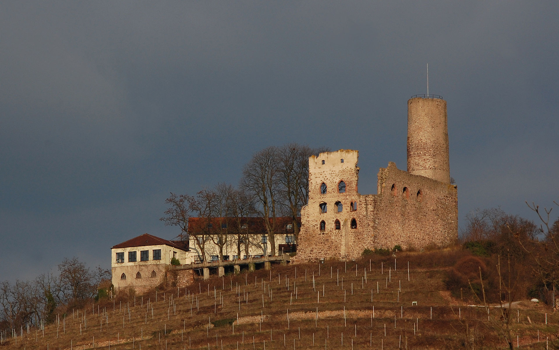 Bild Strahlenburg Schriesheim