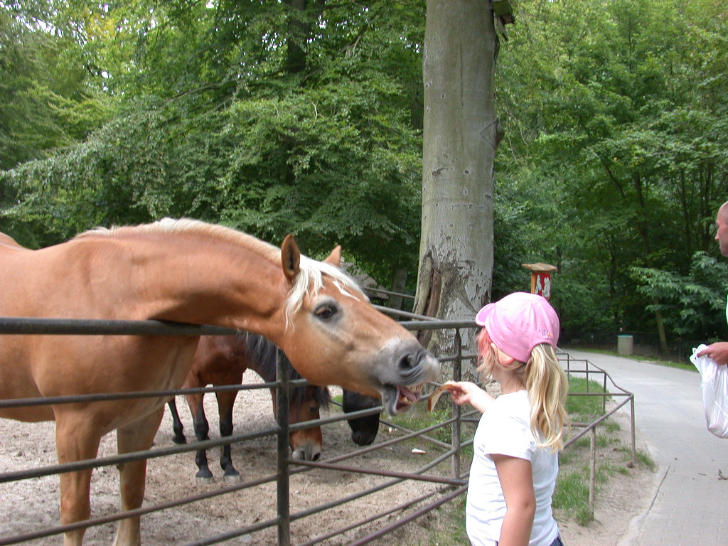 Bild Tierpark Sassnitz