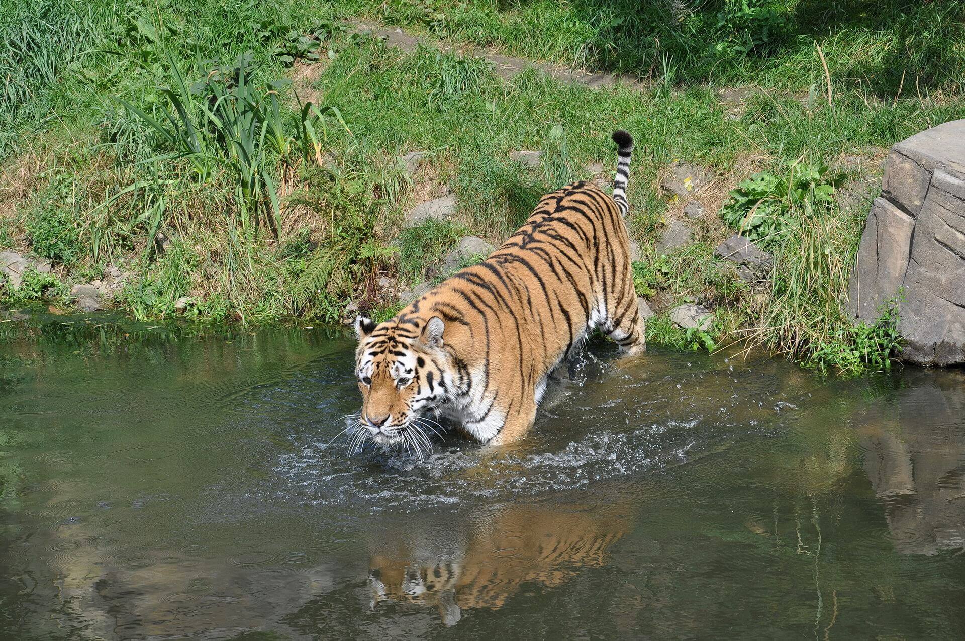 Bild Zoo Wuppertal