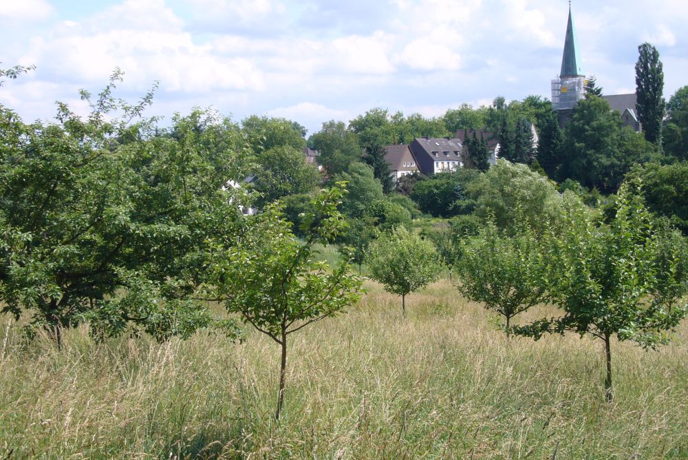 Bild Umweltkulturpark Dortmund