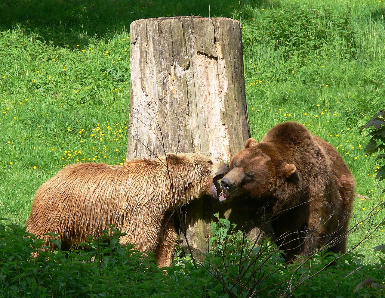 Bild Heimat Tierpark Olderdissen Bielefeld