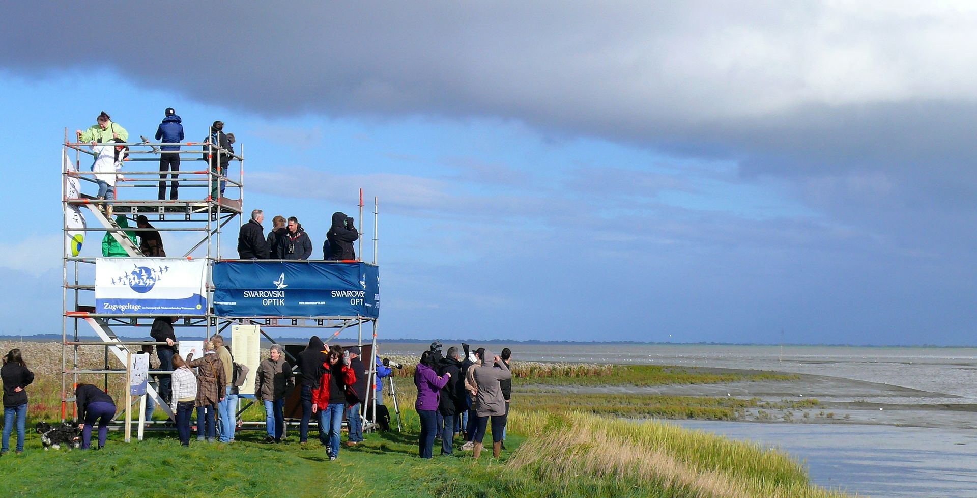 Bild Nationalpark Niedersächsisches Wattenmeer