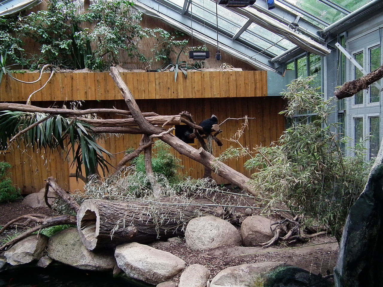 Bild Vivarium Darmstadt