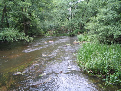 Bild Naturpark Sternberger Seenland