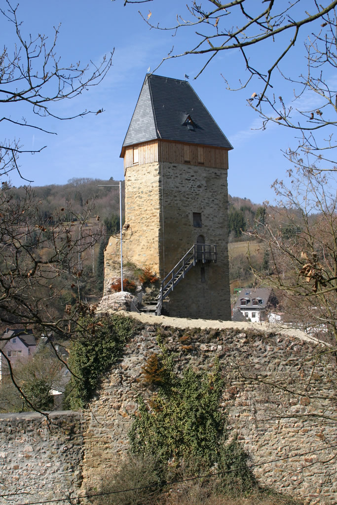 Bild Burg Frauenstein Wiesbaden