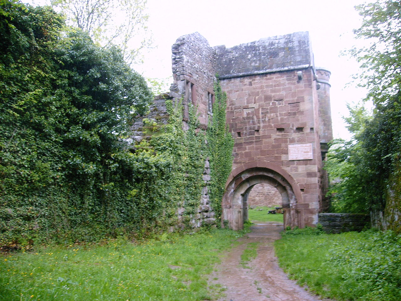 Bild Burg Wildenberg Kirchzell