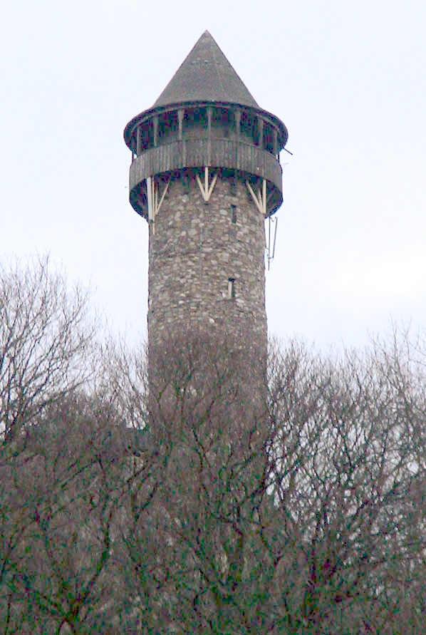 Bild Burg Wildenburg Kempfeld