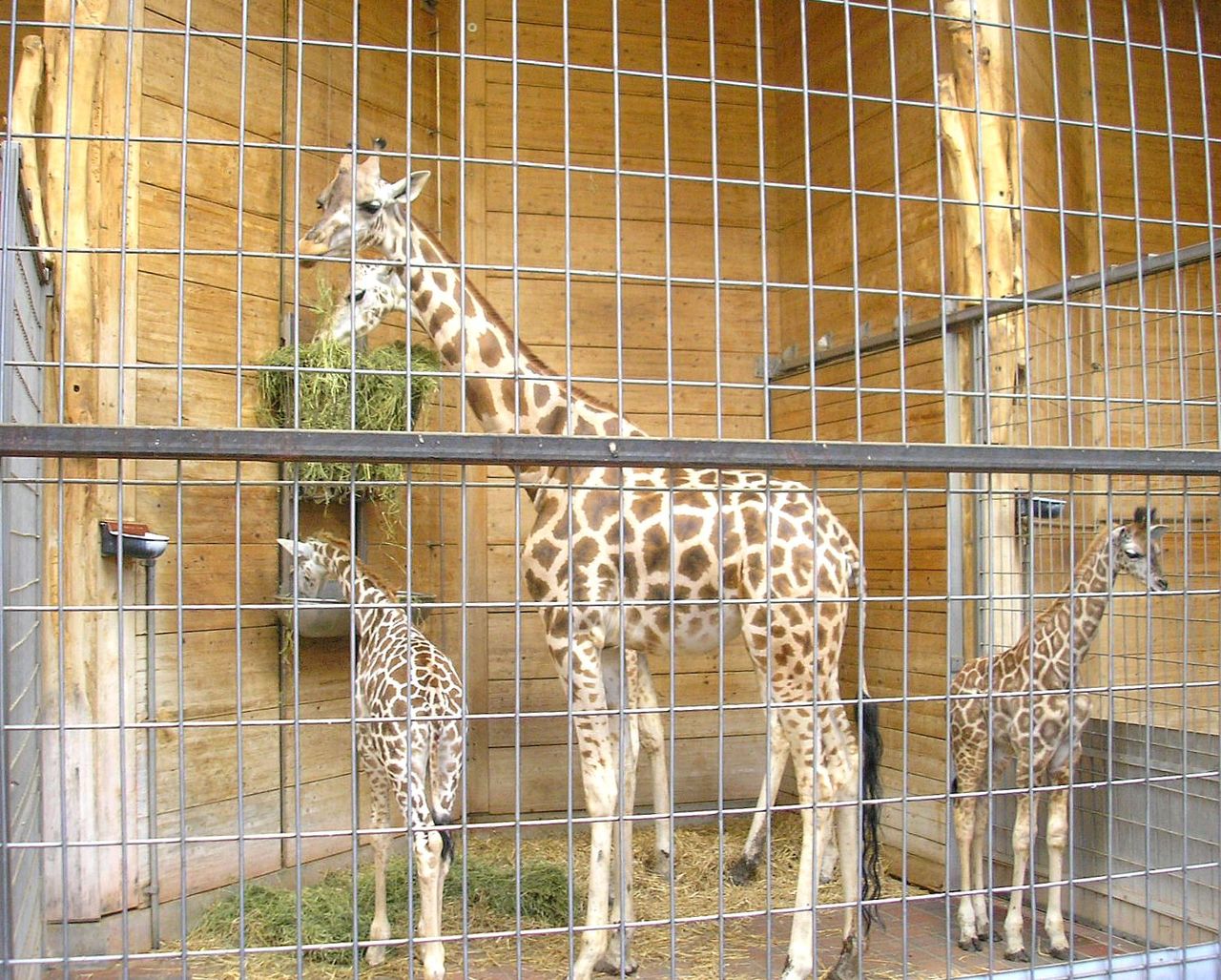 Bild Zoo Augsburg