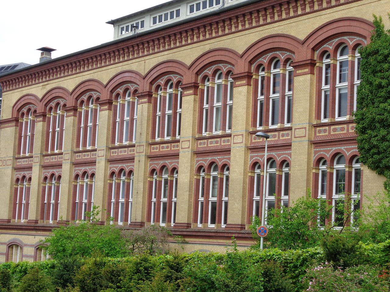 Bild Zoologisches Museum Kiel