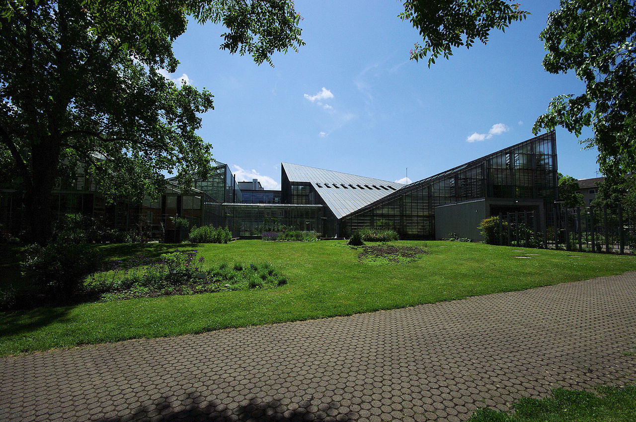 Bild Botanischer Garten Freiburg