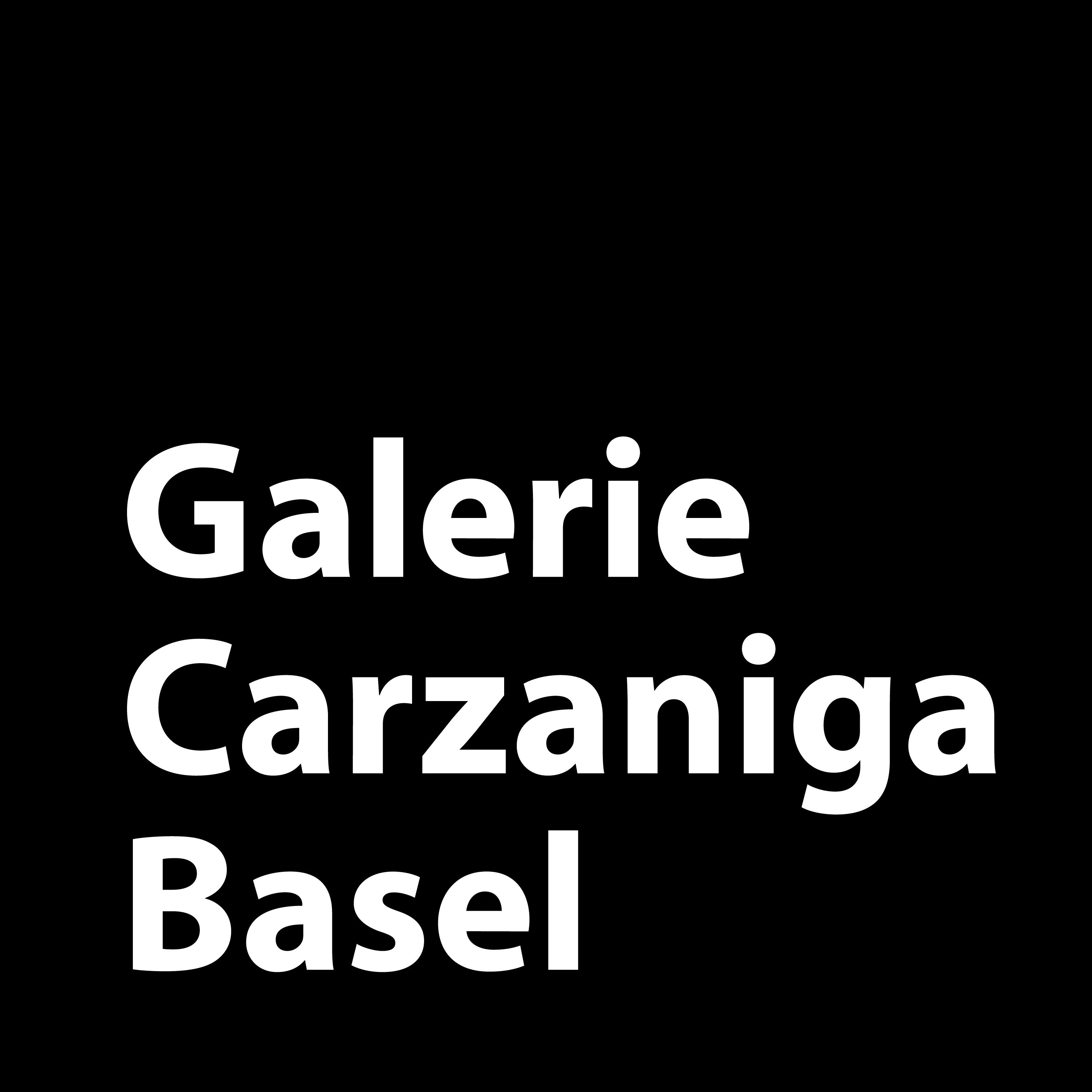 Bild Galerie Carzaniga Basel