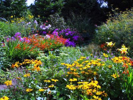 Bild Bauerngarten Anke zu Jeddeloh