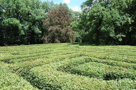 Bild Irrgarten Altjeßnitz