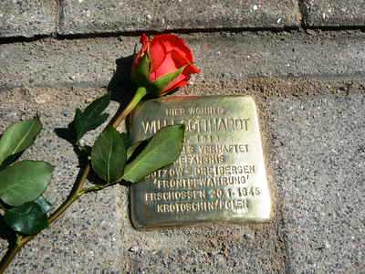 Bild Stolpersteine in Wismar