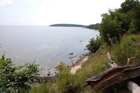 Bild Internationale Naturschutzakademie Insel Vilm