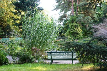 Bild Arboretum Greifswald