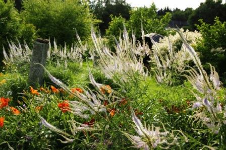 Bild Schaugarten Reichersberg