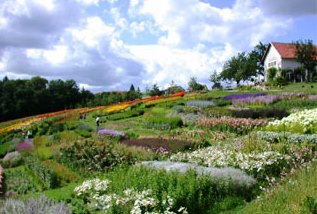 Bild Garten der Geheimnisse Stroheim