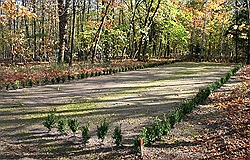 Bild Jüdischer Friedhof Brandenburg Görden