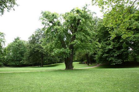 Bild Stadtpark Görlitz