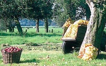 Bild Obstkelterei van Nahmen Hamminkeln