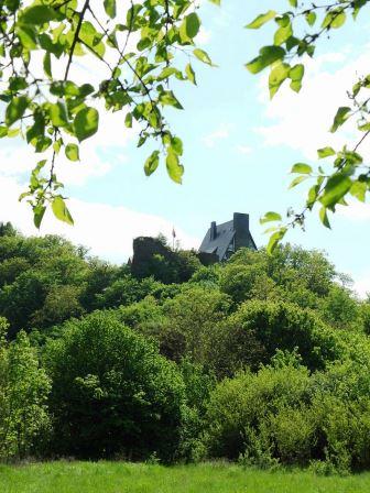 Bild Burg Waldeck Dorweiler