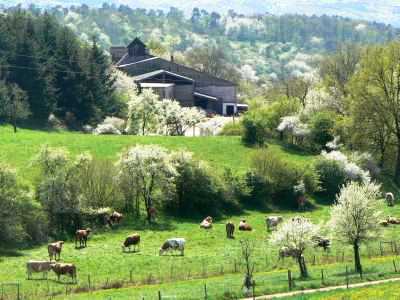 Bild Schwalbenhof Berschweiler