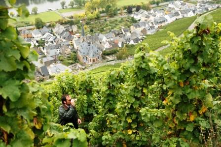 Bild Weingut Markus Molitor Bernkastel