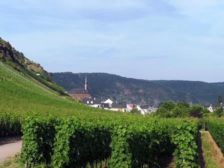 Bild Weingut Heribert Stein Cochem