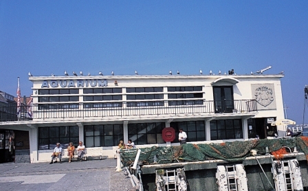 Bild Nordseeaquarium Oostende