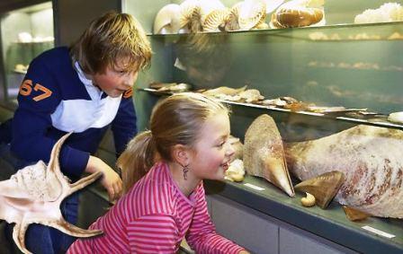 Bild Zee Aquarium Bergen aan Zee