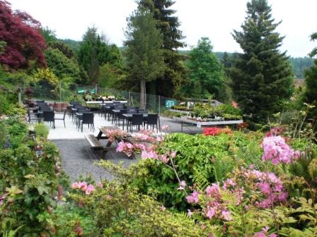 Bild Alpengarten Pforzheim