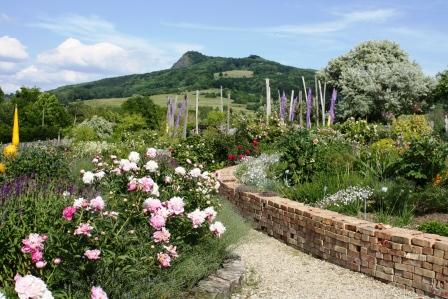 Bild Duft und Würzkräuter Schaugarten Hilzingen Binningen