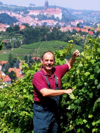 Bild Weingut Schuh Coswig