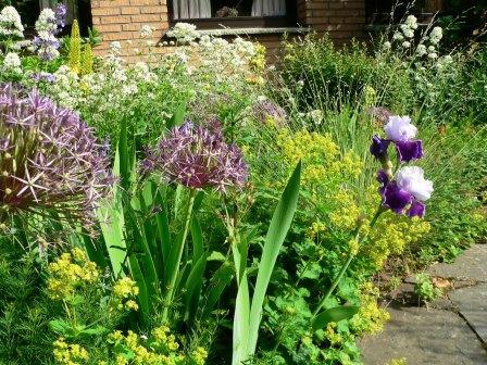 Bild Staudengarten Ingrid Adelt Hattingen