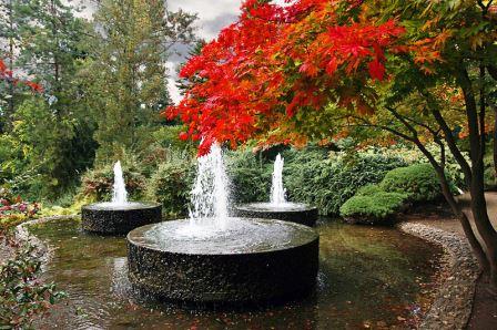 Bild Forstbotanischer Garten und Friedenswald Köln