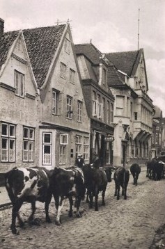 Bild Theodor Storm Wohnhaus Husum Neustadt